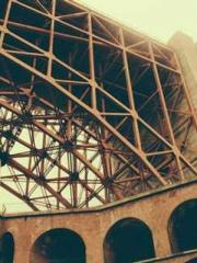 The Poisonous Doctor