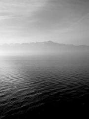 King of the Nine Pro