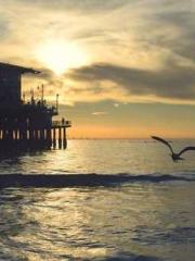 The Poisonous Doctor