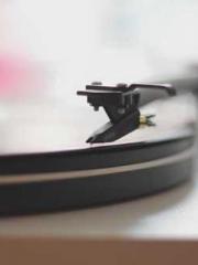 My seven stunning an