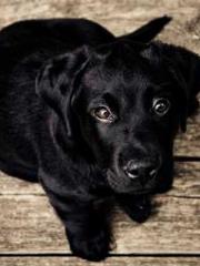 My seven stunning an