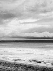 I Picked Up a Cultiv