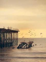 Rong Zhao, male, Nin