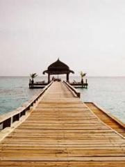 Reborn in the Apocal