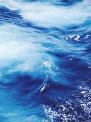 The Poisonous Doctor