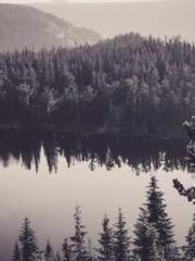 The Hardships of a D