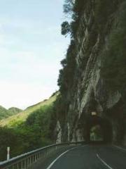 The Best Little Body