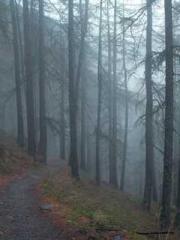 My seven stunning an