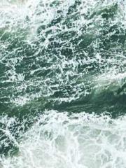 A Heavenly Gift: The