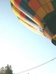 The Poisonous Doctor