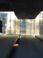 Transmigrated to the