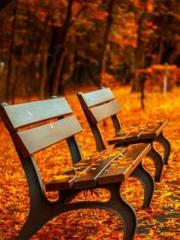 Lu Wanwan Li Jingche