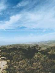 Omnipotent Mad Young