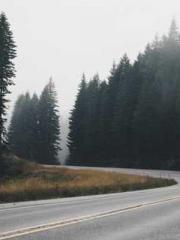 Transmigration: Feel