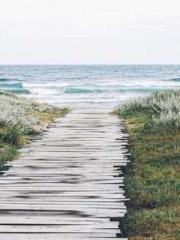 Two Treasures Arrive