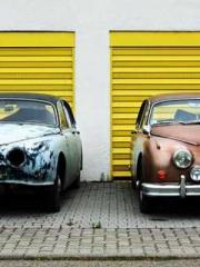 The Daring Wife of a