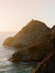 Two Treasures Arrive