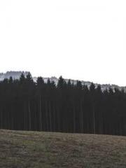 Two Treasures Arrive