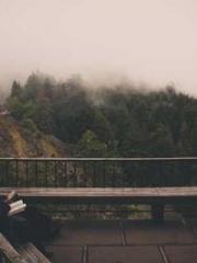 Transmigration: Feel