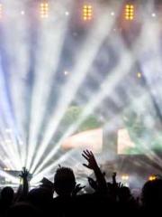 One Night of Indulge