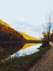 One Night Marriage P