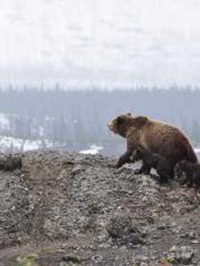 A Heavenly Gift: The