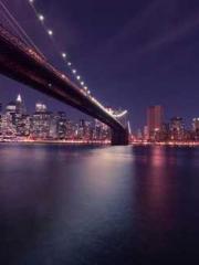 lt;lt;The Trash Husb