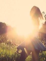 The Apothecaryapos;s